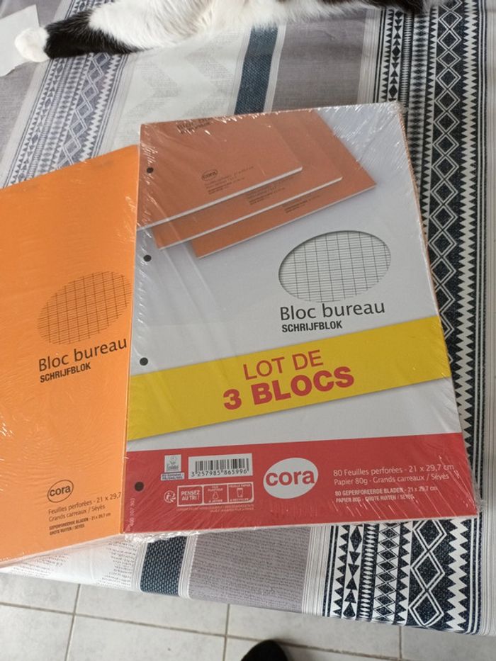 Lot bloc bureau - photo numéro 2