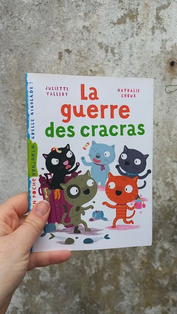 Livre enfant
