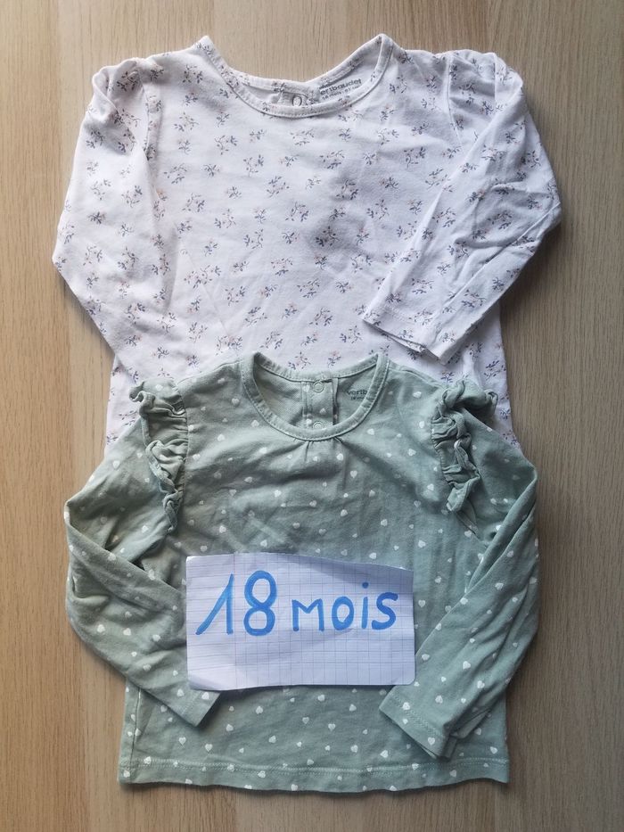 Lot 2 hauts 18 mois Vert