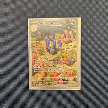 Pokémon Triopikeau 224