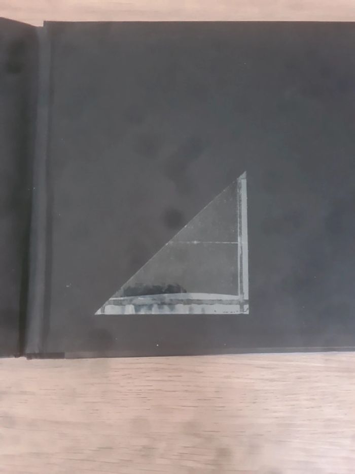 J'ai tué mon prof souris noire - photo numéro 4