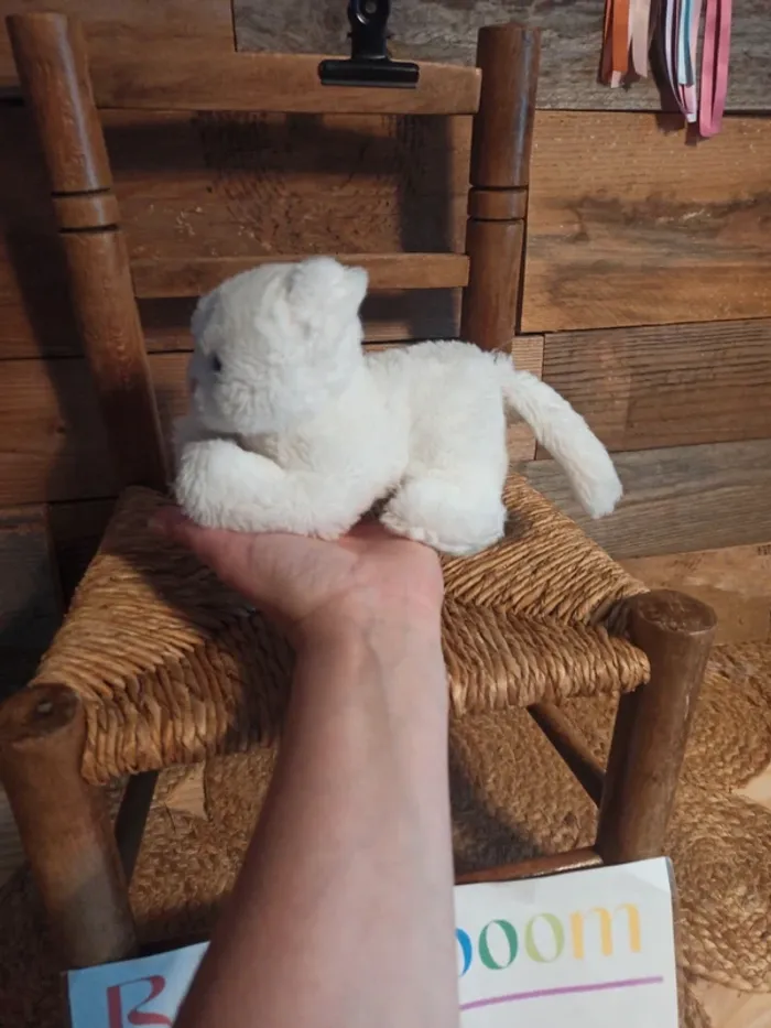 Peluche petit chat blanc Boulgom tbe - photo numéro 4