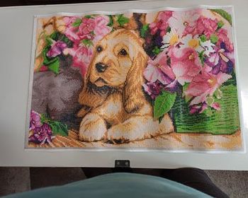 Peinture diamant (déjà faît)