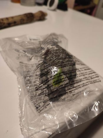 Tortue de pierre Eldrador 