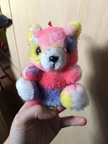 Petit ours en peluche