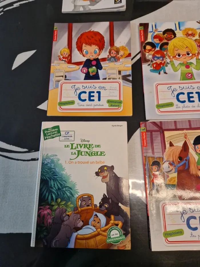 Lot 6 livres enfants cp ce1 - photo numéro 4