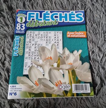Livre de jeu fléchés (débutant) niveau 1 (83grilles)