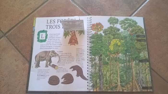livre la fôret vierge - photo numéro 4