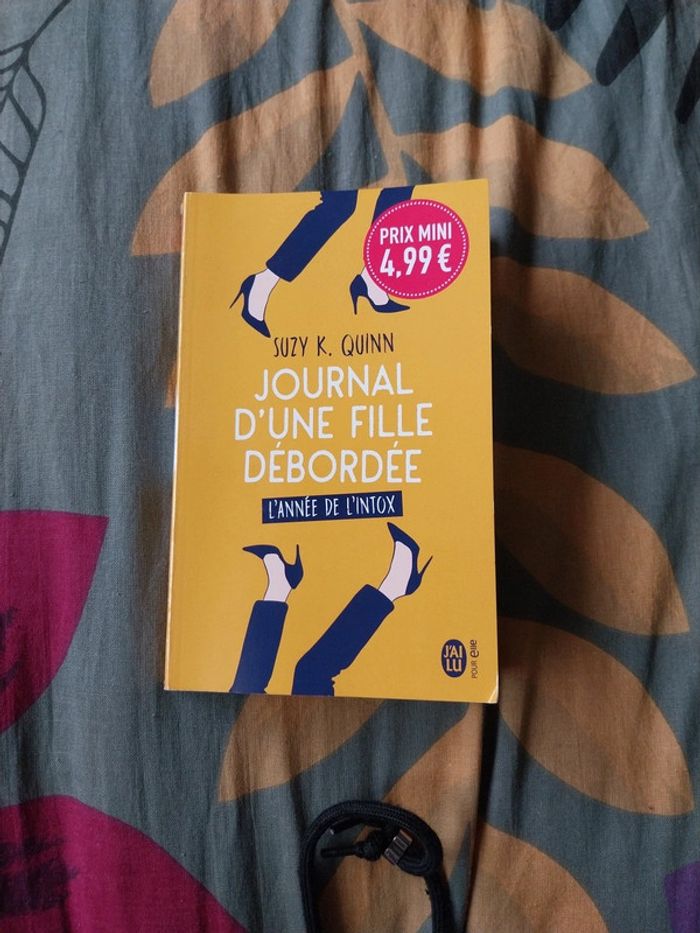 Livre journal d'une fille deborde