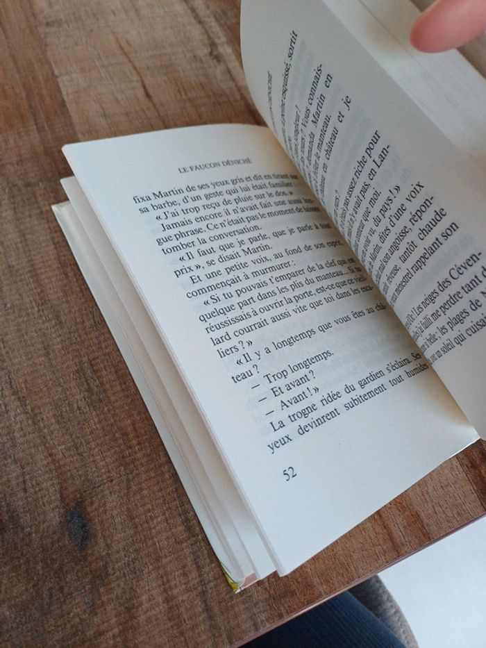 Livre Le faucon déniché de Jean-Côme Noguès - photo numéro 4