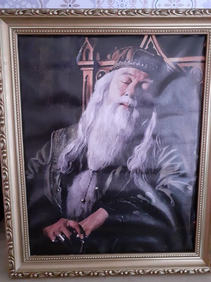 Cadre Harry potter Dumbledore dans cadre ancien - photo numéro 2