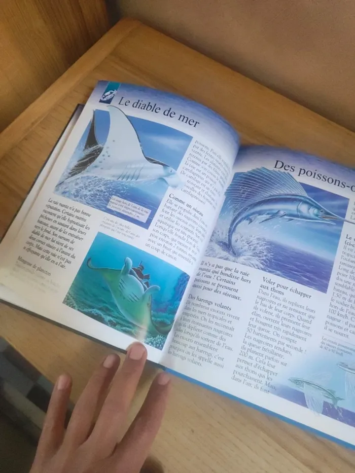 Livre imagia la mer - photo numéro 3