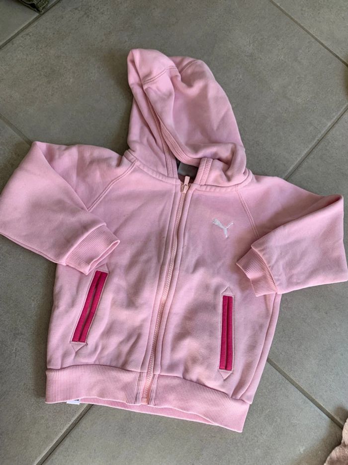 Ensemble puma - photo numéro 2