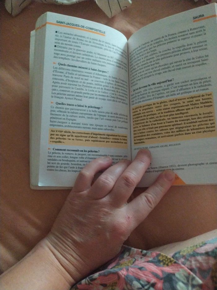 Guide civilisation hispanique - photo numéro 2