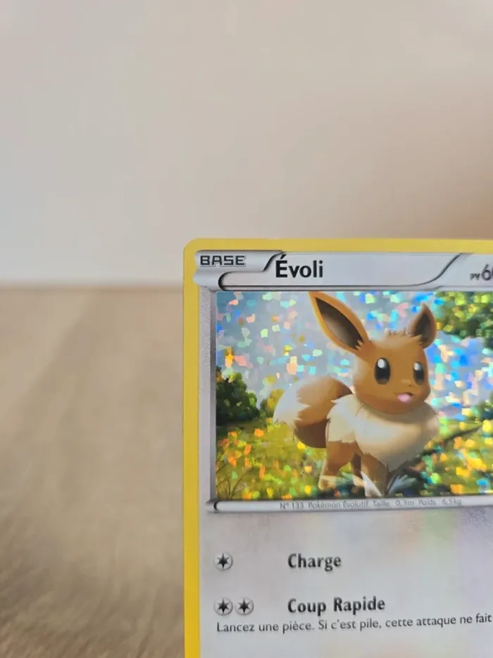 Evoli 12/12 - photo numéro 2