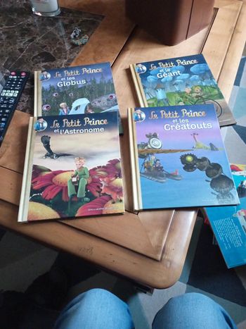 Lot livres "Le Petit Prince 🤴"