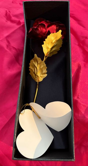 Coffret rose éternel avec ses bijoux en acier inoxydable