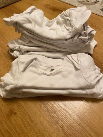 Lot bodies