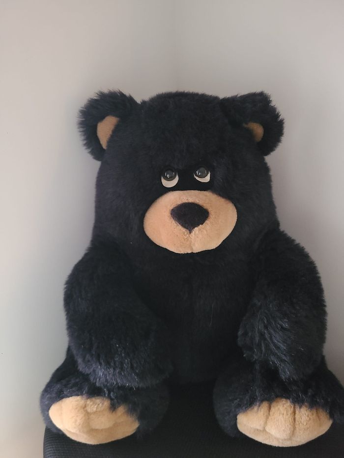 peluche ours - photo numéro 5