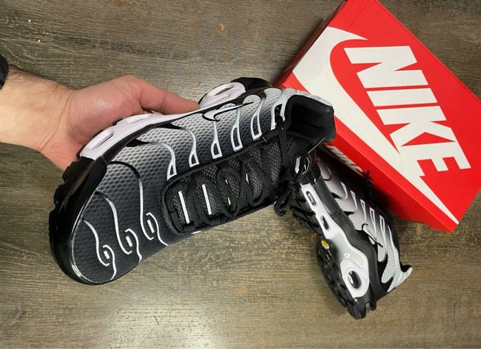 airmax 41 - photo numéro 3