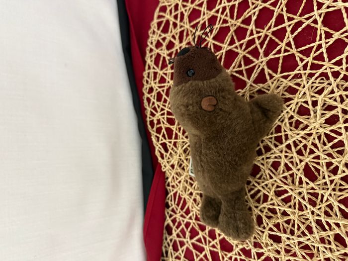 Nature Planet - Peluche - Plan L - Lion de mer - photo numéro 4