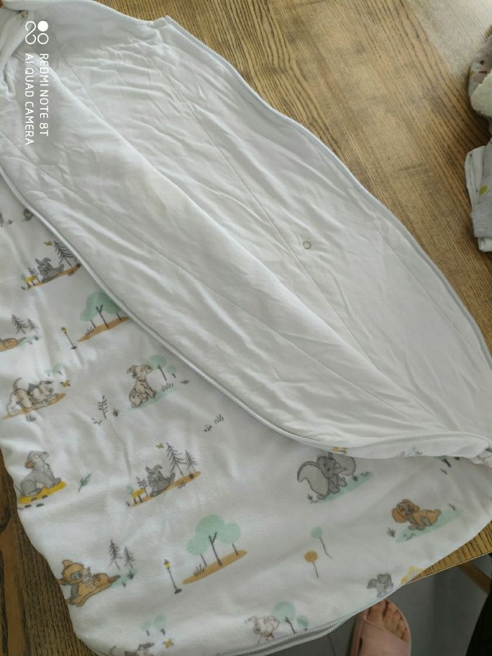 Gigoteuse polaire - photo numéro 2