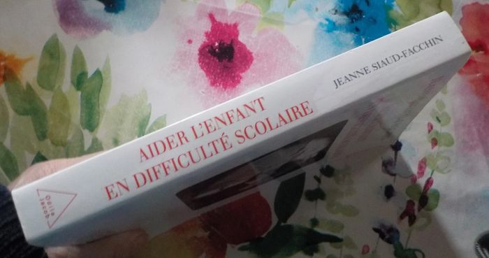 Aider l'enfant en difficulté scolaire par Jeanne Siaud-Facchin - photo numéro 4