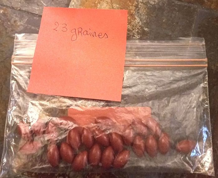 Jeu Pic Piaf - photo numéro 6