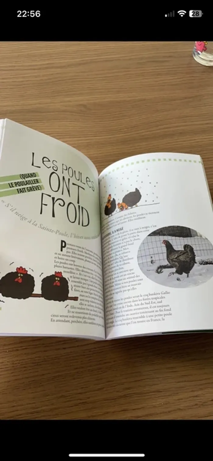 Livre Tout pour ma poule - photo numéro 6