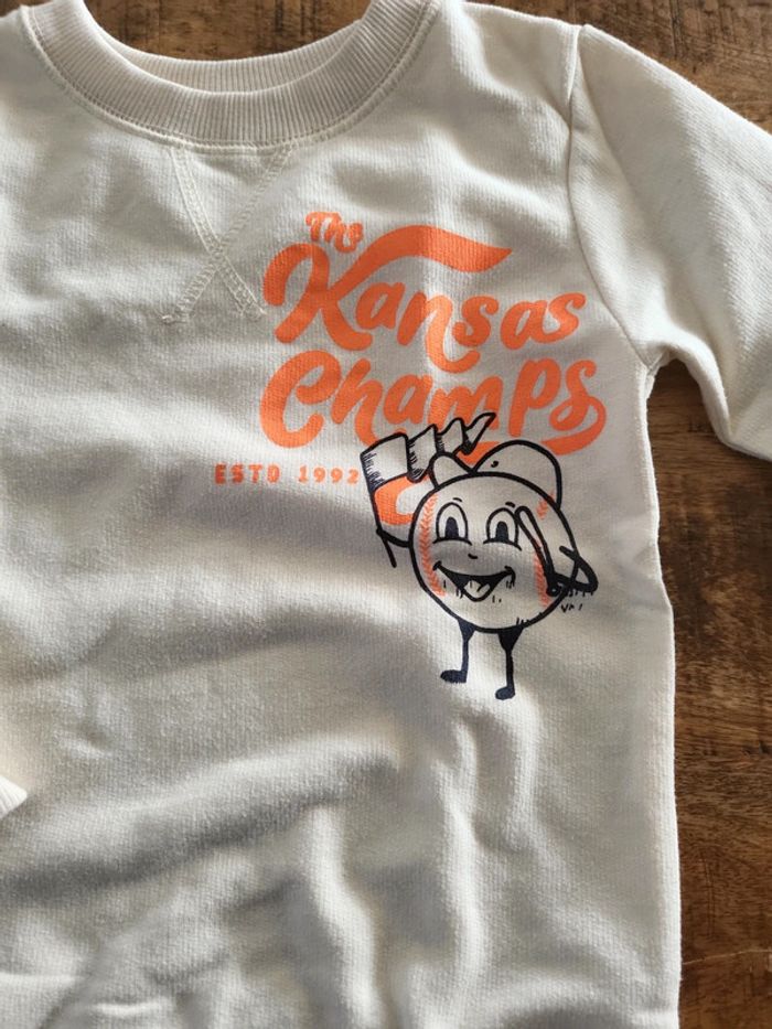 Pull zeeman 5 ans - photo numéro 2