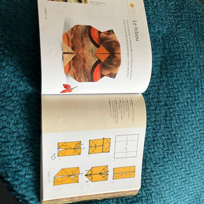 Livre origami Zoorigami - photo numéro 4