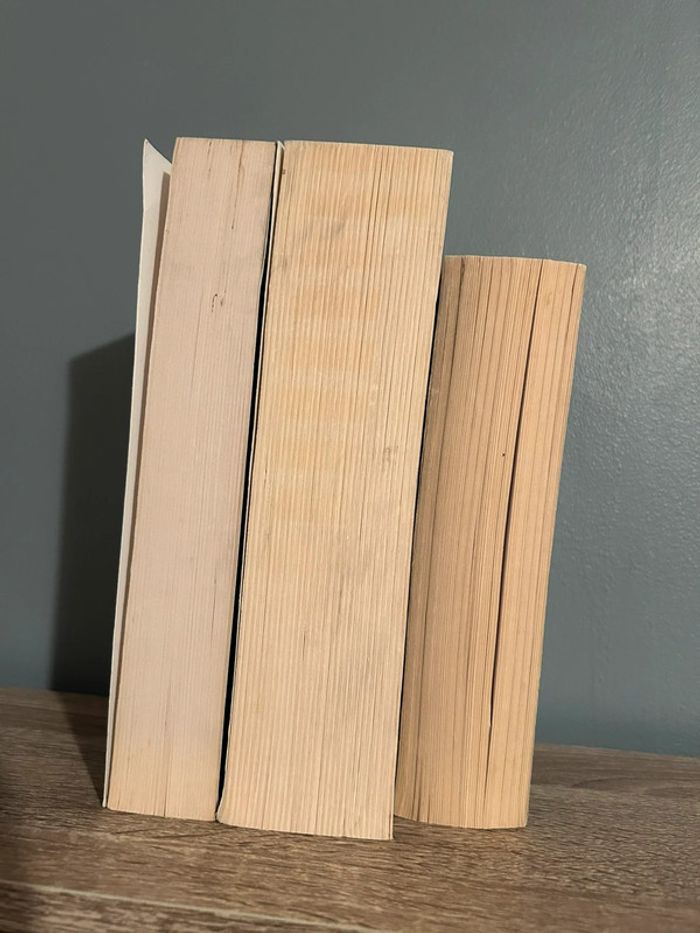 Livres 50 nuances de grey (tome 1,2,3) - photo numéro 3