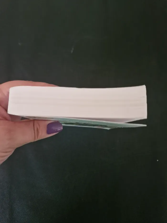 Les Rougon-Macquart Tome 17 - La Bête humaine - Emile Zola - photo numéro 3