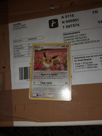 Carte pokemon