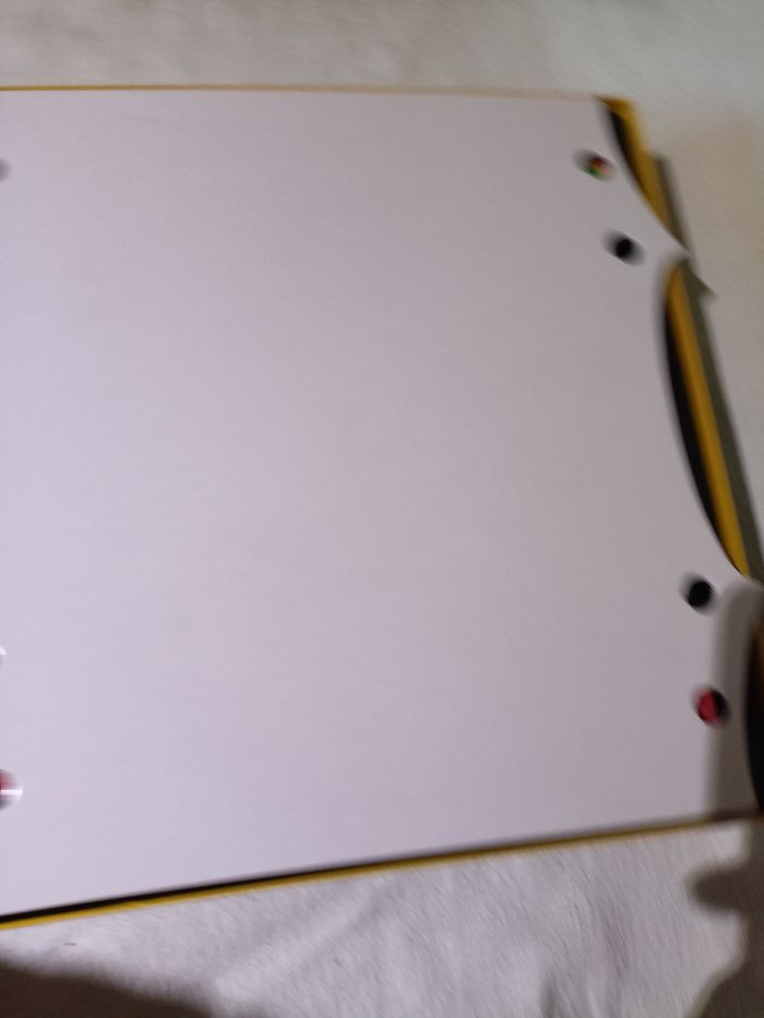 Torti croquis goliath complet - photo numéro 5