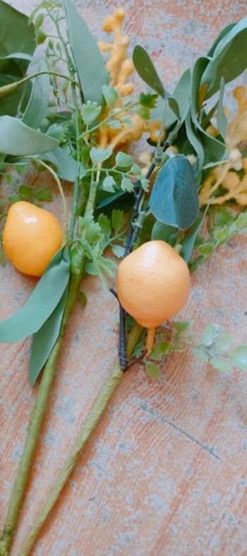 Branches artificielles de citronnier et mimosa pour déco mariage ou autre