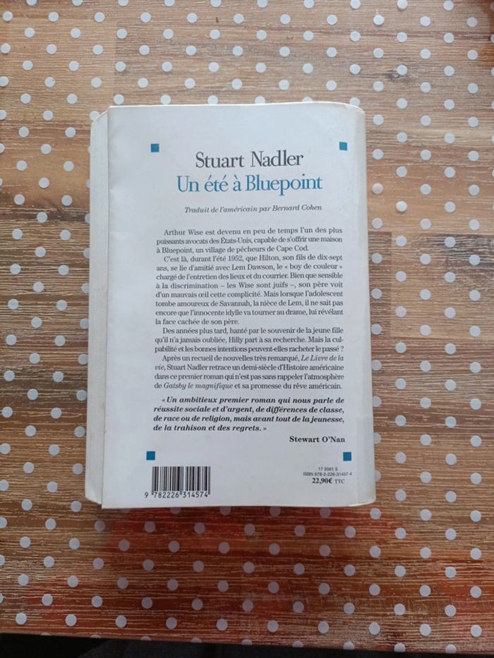 Un été à Bluepoint - photo numéro 2
