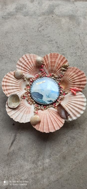 Décoration coquillage