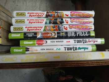 2eme lot manga