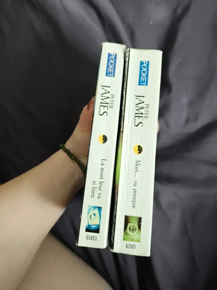 Lot de 2 livres tomes 2 et 3 - photo numéro 8