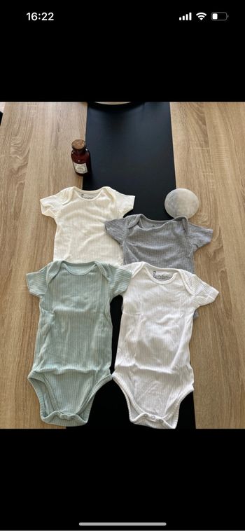 Lot de 4 bodies manche courte