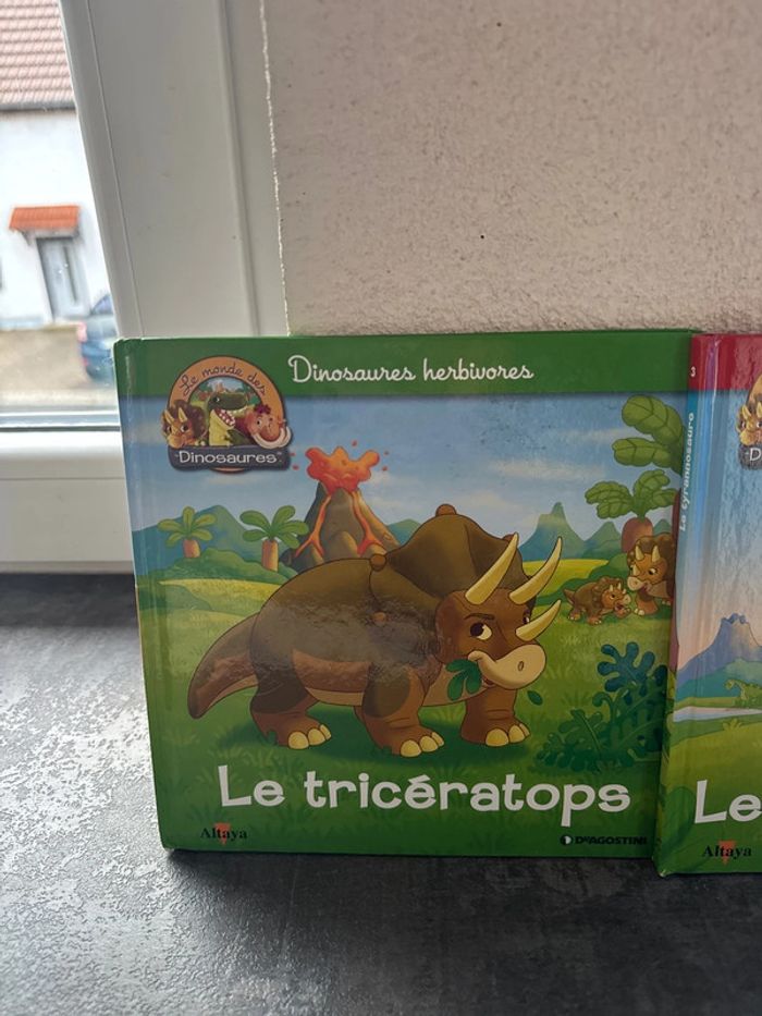 Livres dinosaures - photo numéro 2