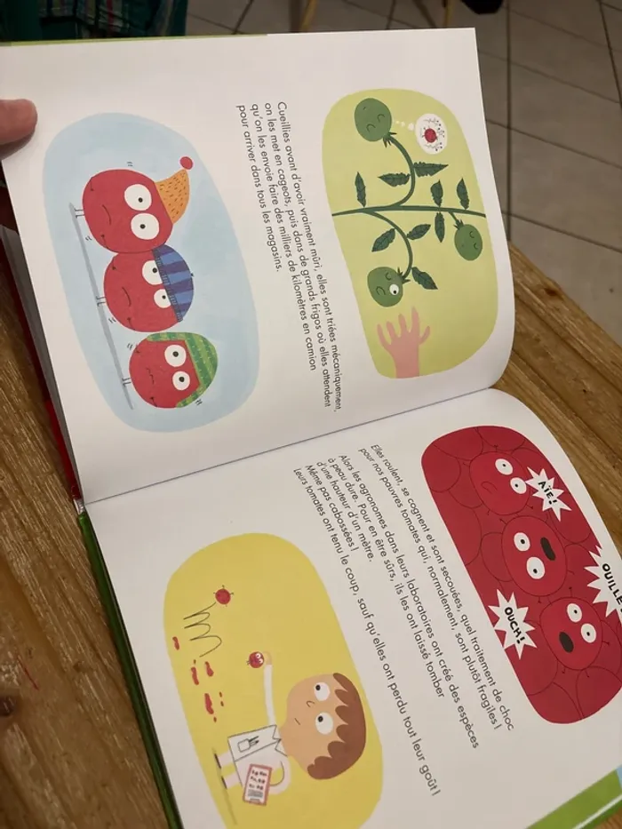 Les tomates - photo numéro 3