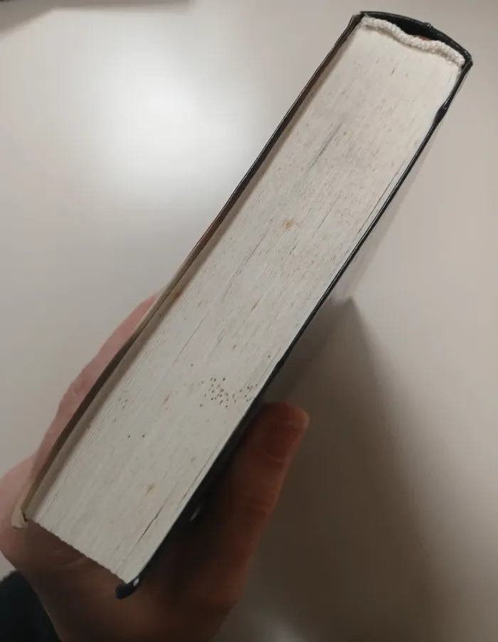 La cage de Roderick Anscombe - photo numéro 6