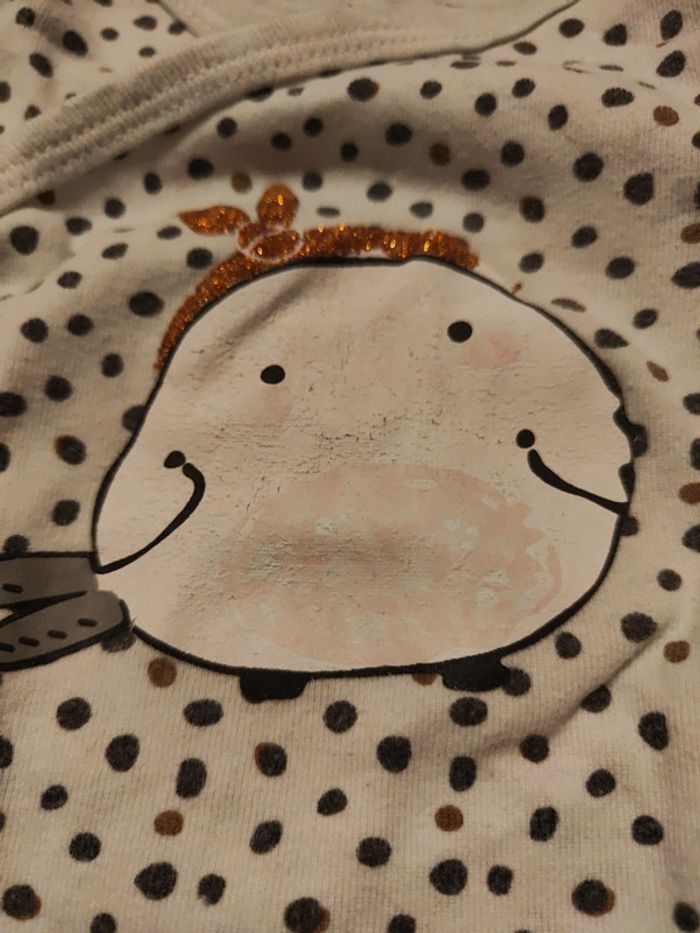 Ensemble DPAM oiseau - photo numéro 8