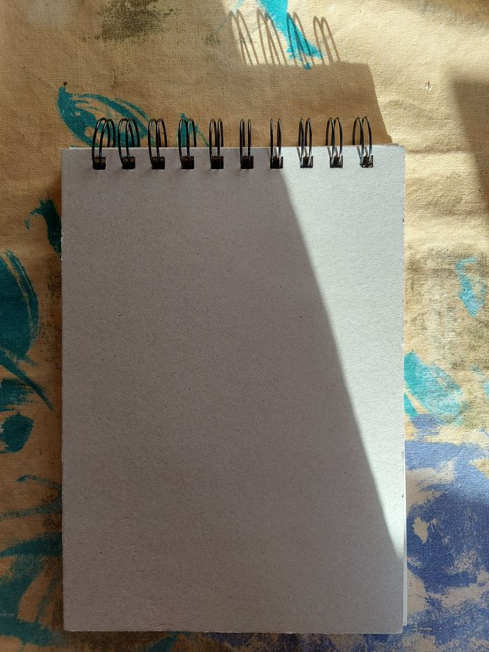 Feuilles à dessins - photo numéro 3