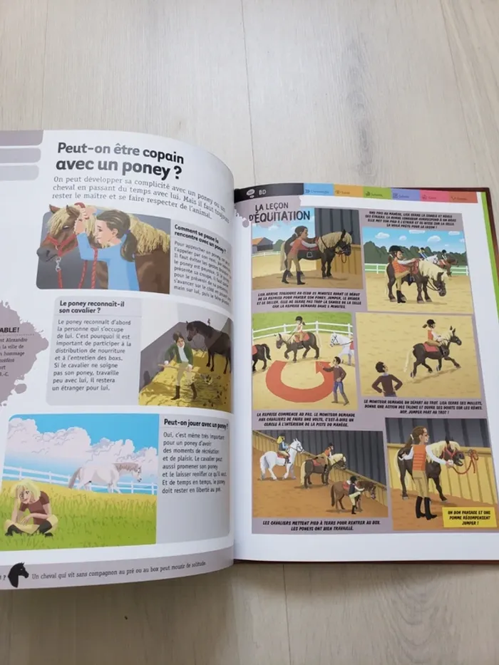 Questions réponses chevaux et poneys - photo numéro 2