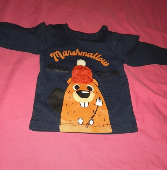 Ensemble - photo numéro 3