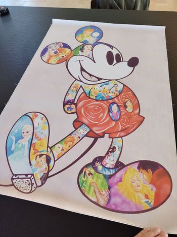 Toile tisser Disney