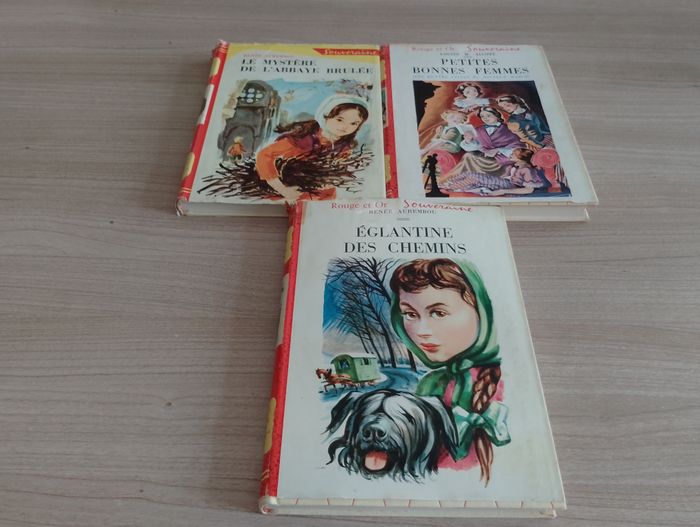 Lot de 3 livres, Divers (idéal bibliothèque)(10) - photo numéro 1